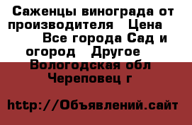 Саженцы винограда от производителя › Цена ­ 800 - Все города Сад и огород » Другое   . Вологодская обл.,Череповец г.